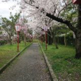 【奈良】大和郡山（やまとこおりやま）のお城祭り。お城を囲む「御殿桜」が見事でした！